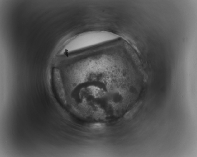 X0000094340053200711162018