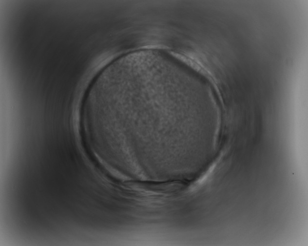 X0000094340055200711162018