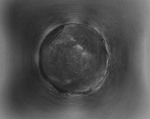 X0000094340056200711162018