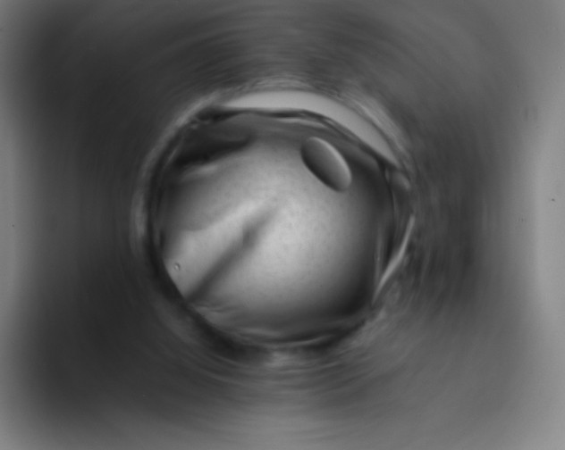 X0000094340060200711162018