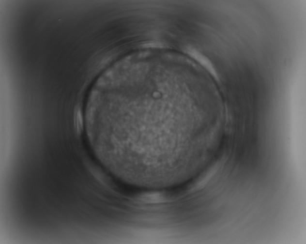 X0000094340061200711162018