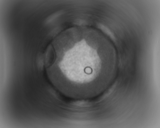 X0000094340065200711162018