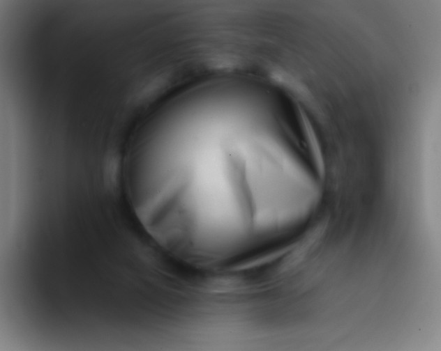 X0000094340066200711162018