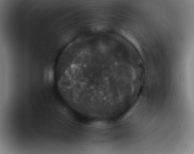 X0000094340067200711162018