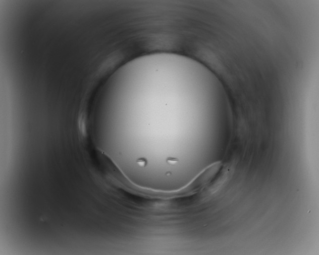 X0000094340068200711162018