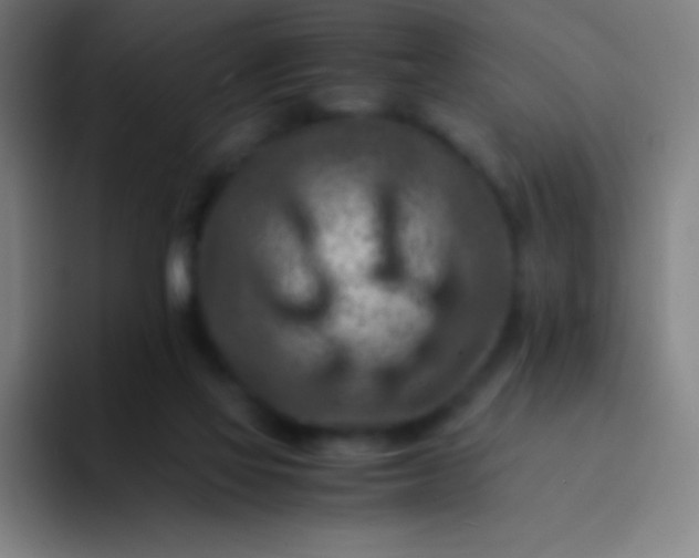 X0000094340069200711162018