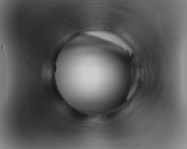 X0000094340072200711162018