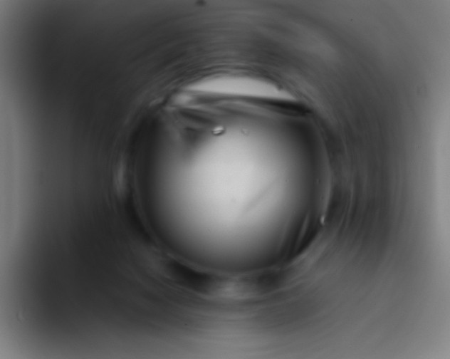 X0000094340074200711162018