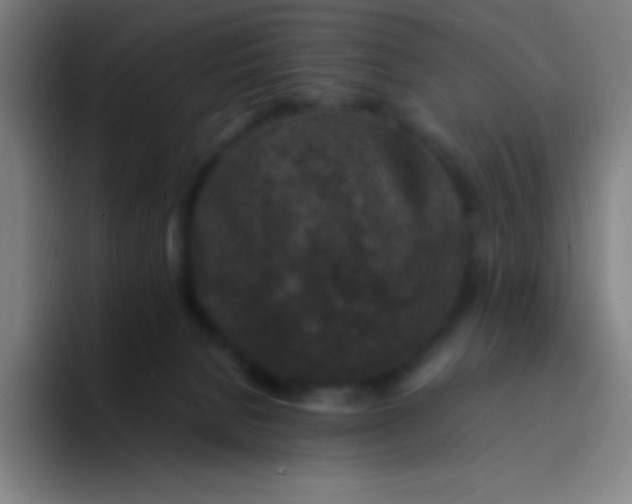 X0000094340080200711162018