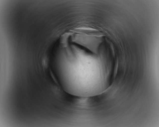 X0000094340090200711162018