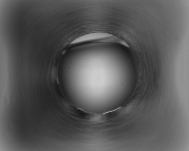 X0000094340096200711162018