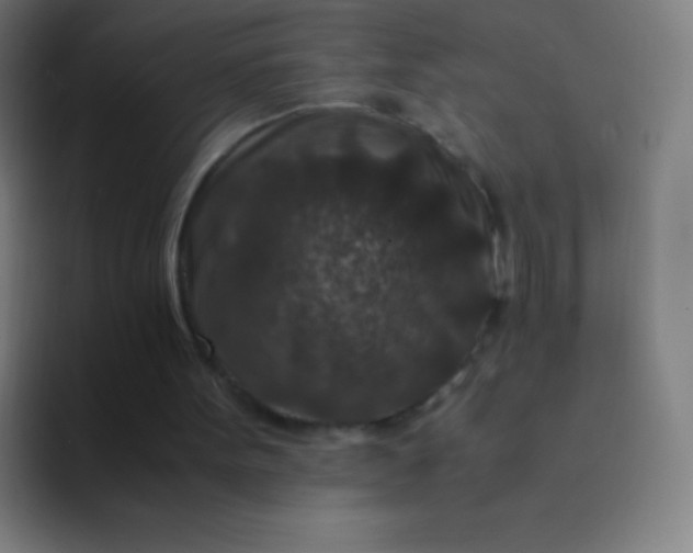 X0000094340099200711162018