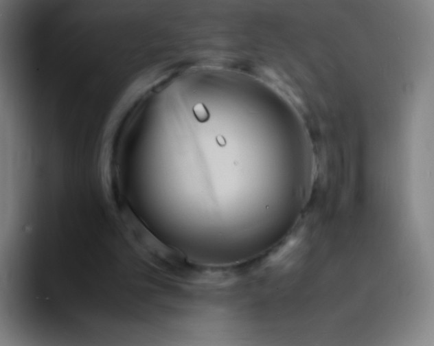 X0000094340101200711162018