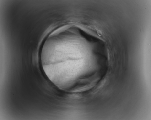 X0000094340102200711162018