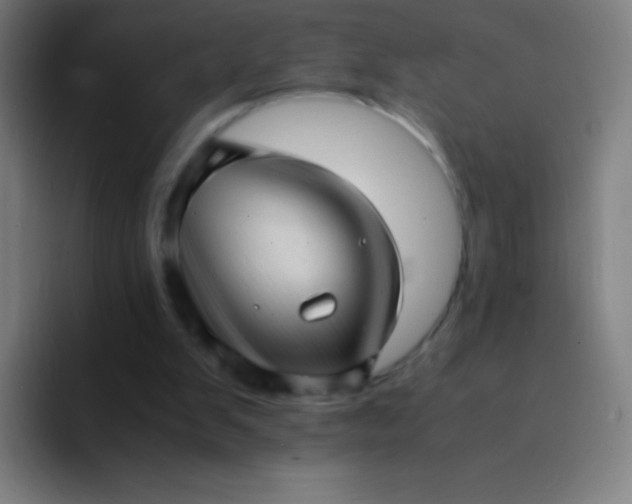 X0000094340103200711162018