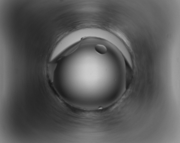 X0000094340105200711162018