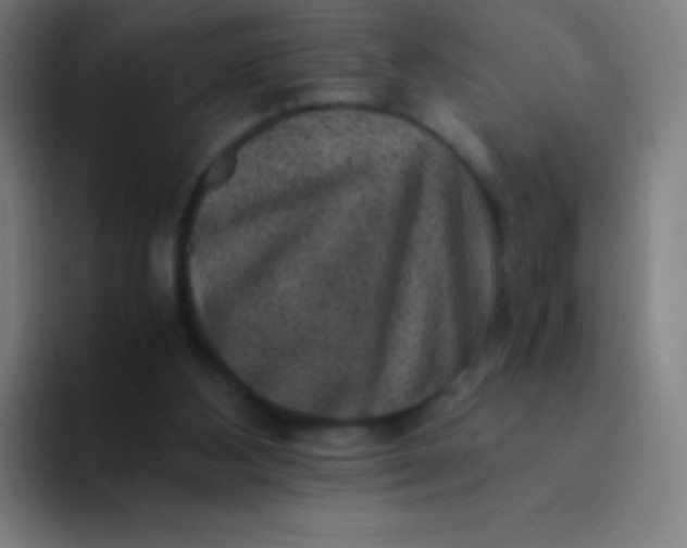 X0000094340108200711162018