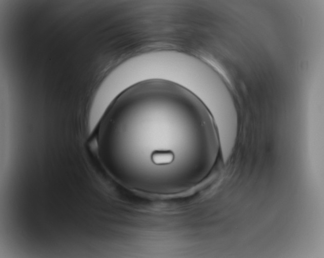 X0000094340109200711162018