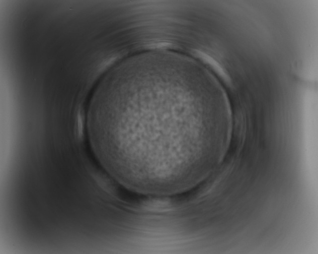 X0000094340110200711162018