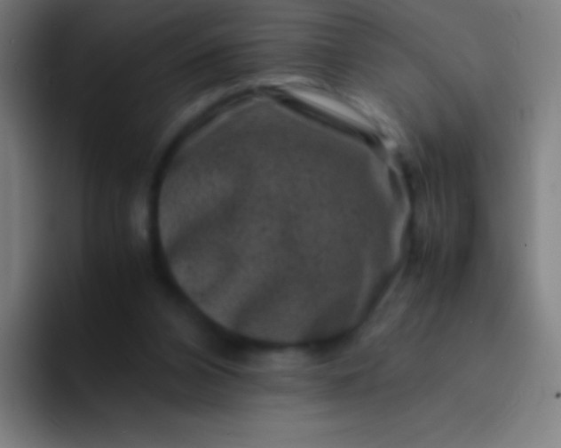 X0000094340112200711162018