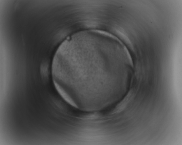 X0000094340116200711162017