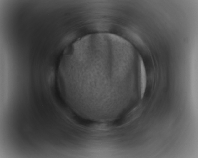 X0000094340120200711162017