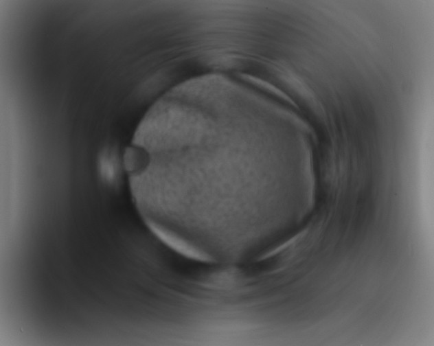 X0000094340124200711162017