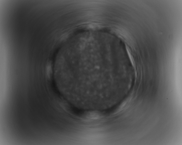 X0000094340127200711162017