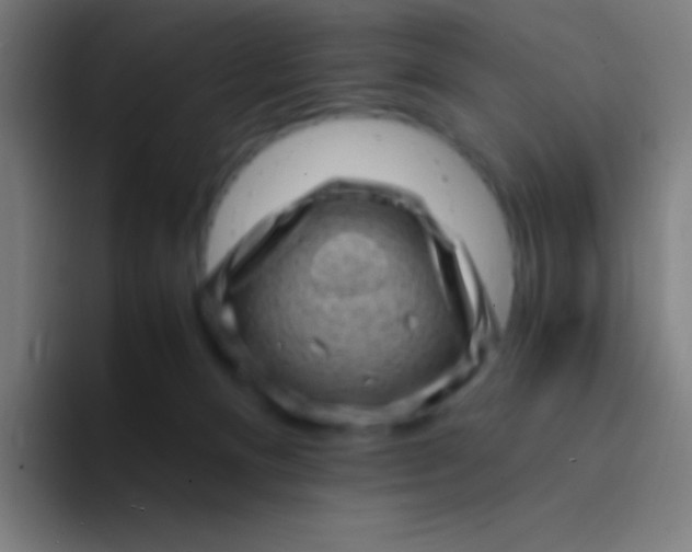 X0000094340128200711162017