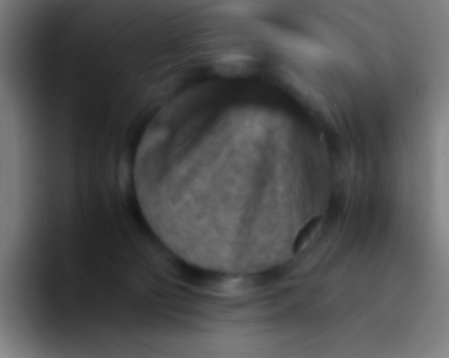 X0000094340130200711162017