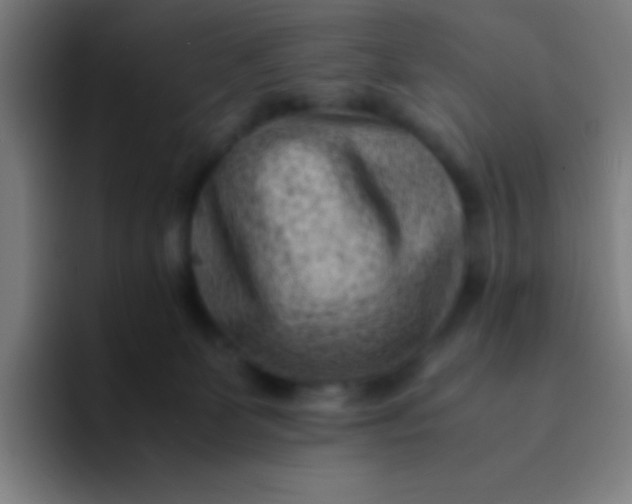 X0000094340131200711162017