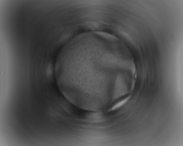 X0000094340132200711162017