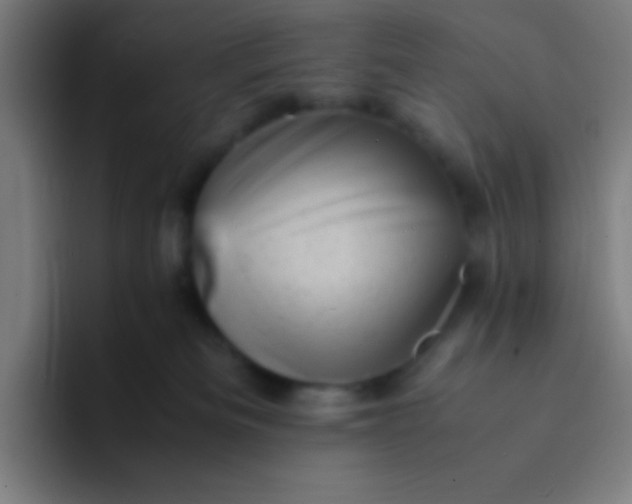 X0000094340133200711162017