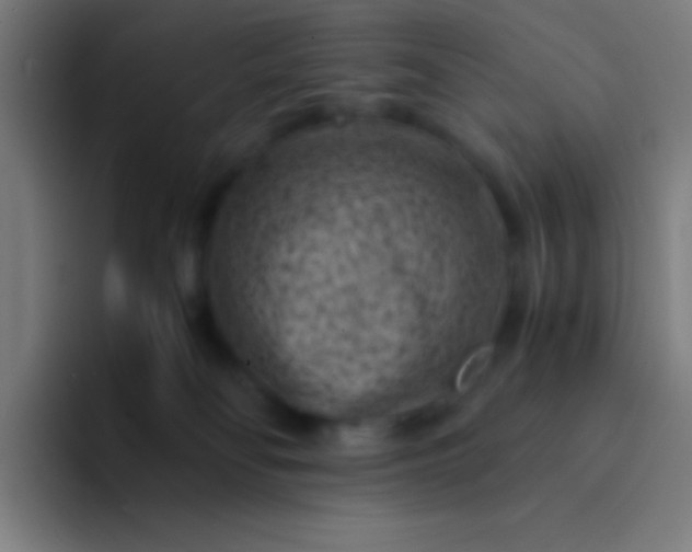 X0000094340134200711162017