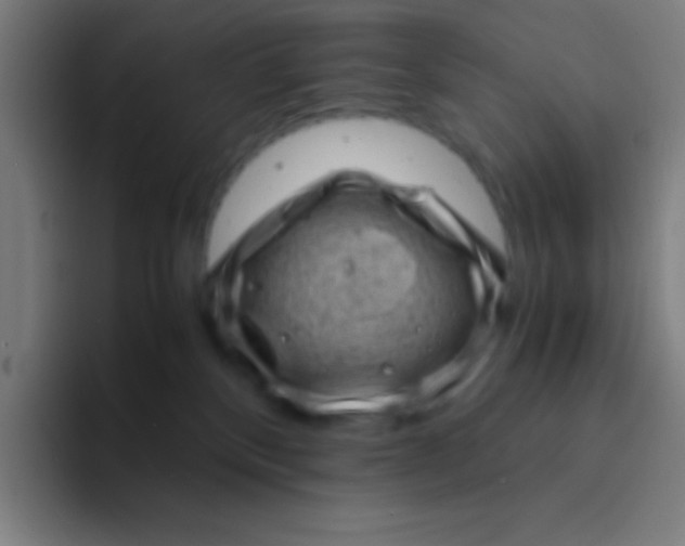 X0000094340136200711162017