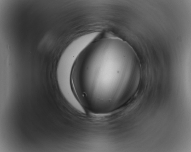 X0000094340137200711162017