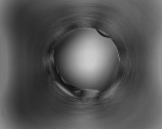 X0000094340141200711162017