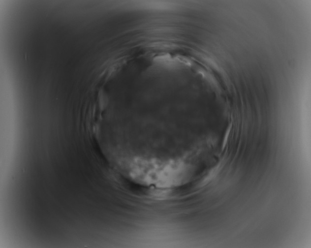 X0000094340143200711162017