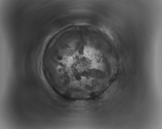 X0000094340145200711162017