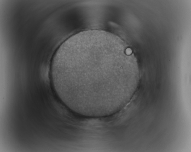 X0000094340146200711162017