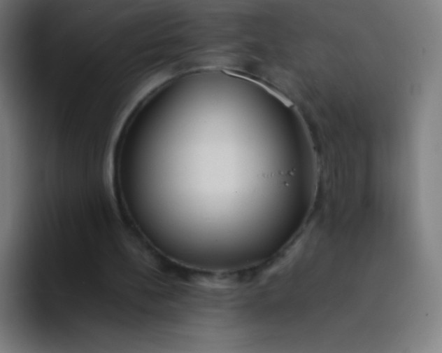 X0000094340148200711162017