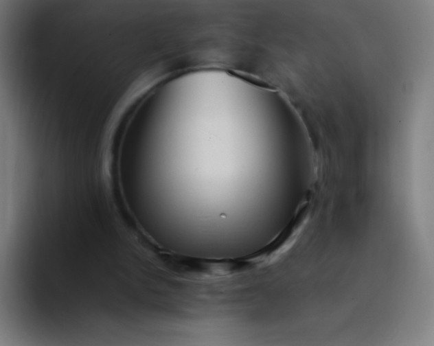 X0000094340150200711162017