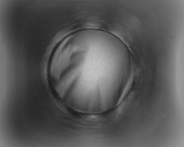 X0000094340151200711162017