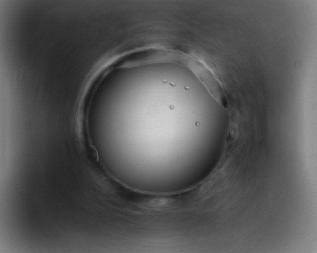 X0000094340152200711162017