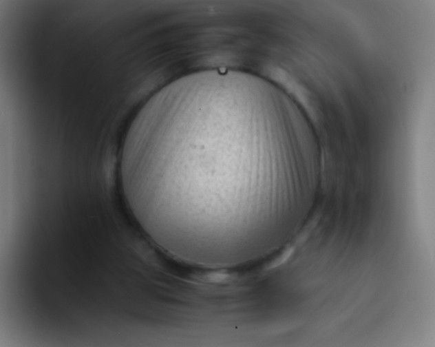 X0000094340153200711162017