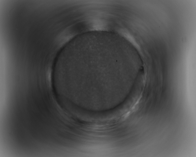 X0000094340154200711162017