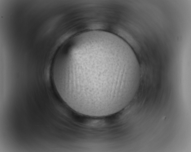 X0000094340155200711162017