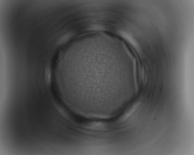 X0000094340157200711162017