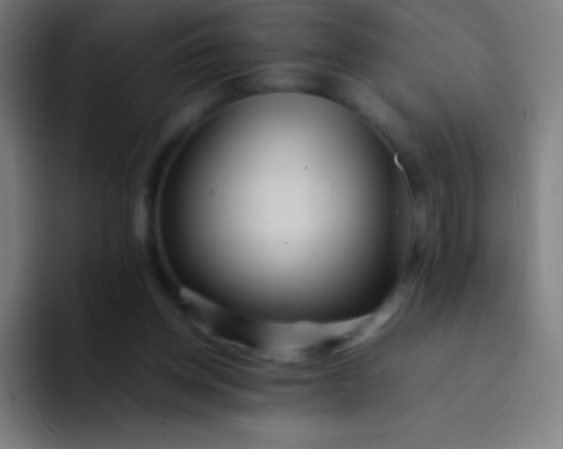 X0000094340158200711162017