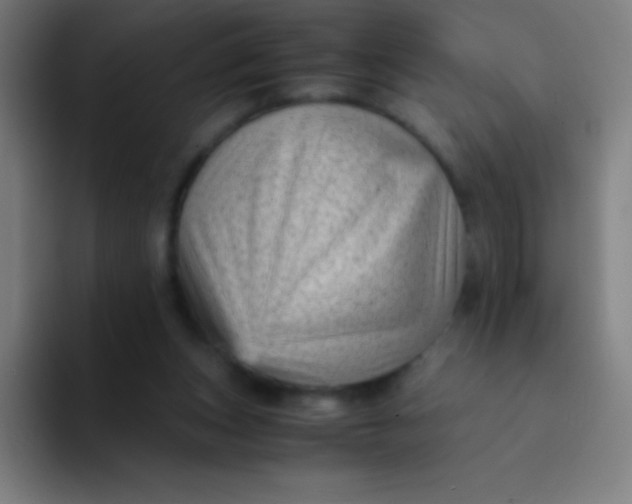 X0000094340159200711162017